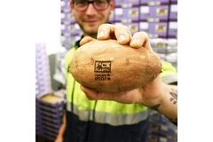 Sweet potato with laser branding